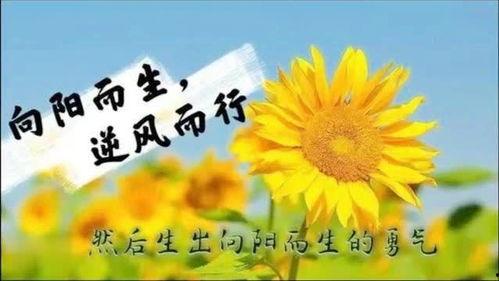 向阳而生,向阳而生的生命奇迹