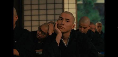 五个光头的少年,光头少年们的青春传奇