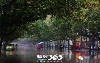 雨中的秋城,雨中秋城的诗意漫步