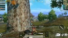 杀出正义,杀出重围的传奇征程